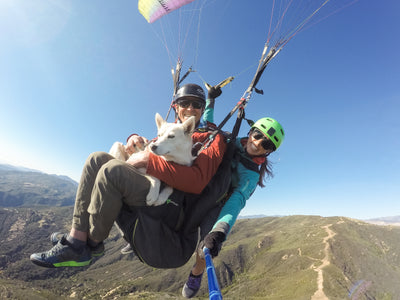 Man and woman paragliding with their dog