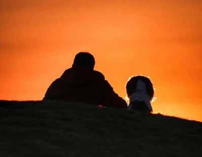 A man and his dog sit and look at the sunset. 