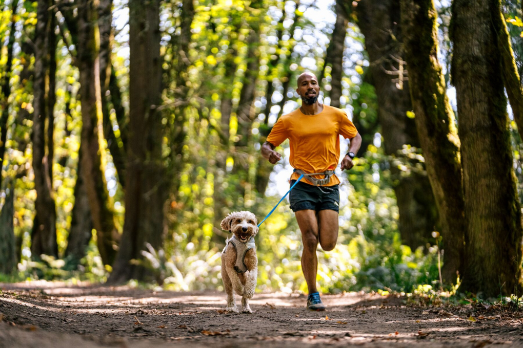 Dog and man running together.