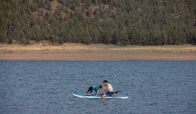 Brad and umi sitting on a paddleboard in a lake
