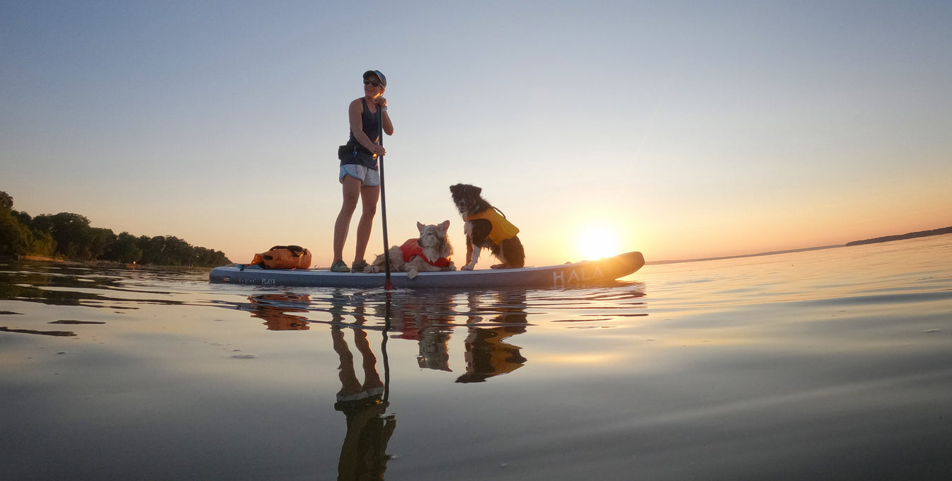 A woman and her two dogs go paddleboarding on a lake.