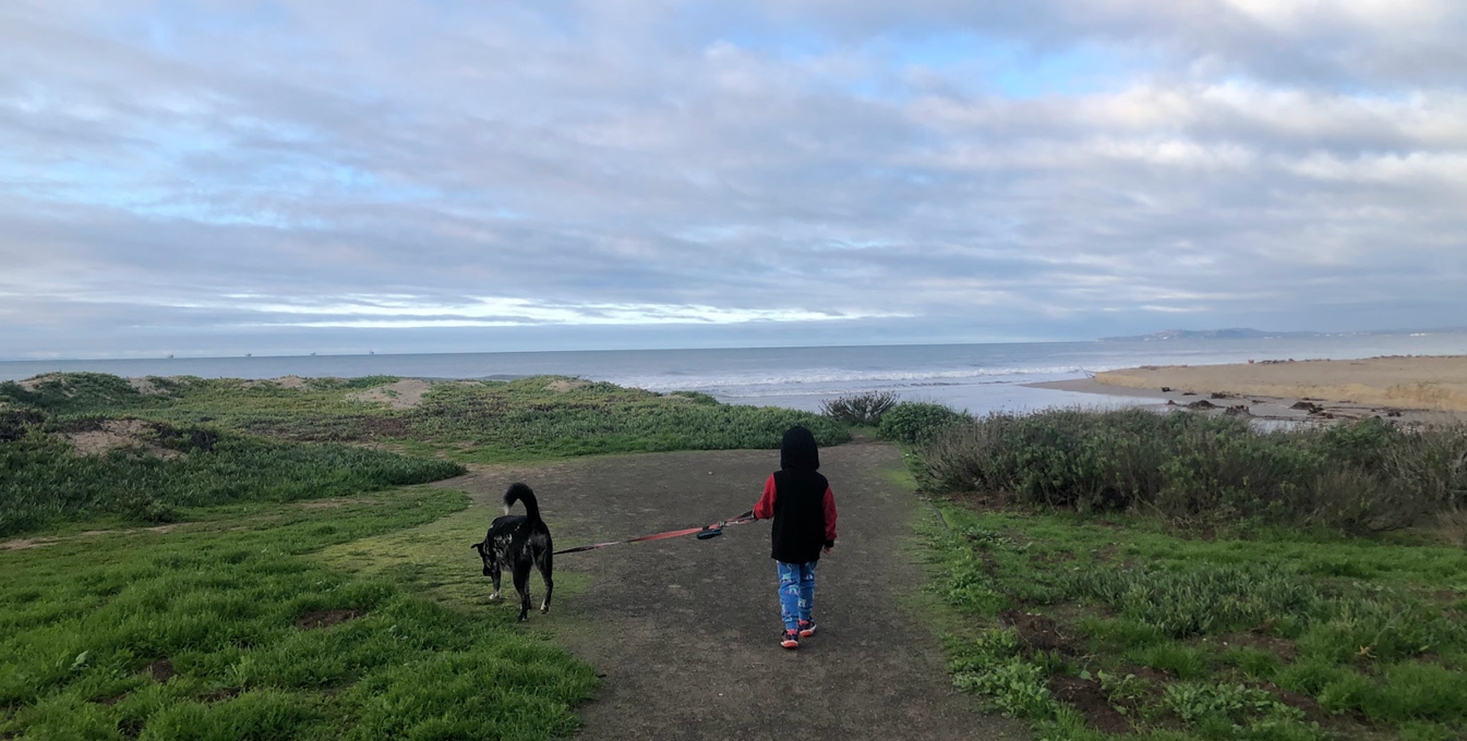 Young boy and dog walk on a trail together