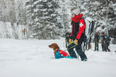 An avalanche rescue dog and their handler.