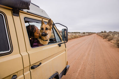 Woman and dog in a camper van on a dirt road