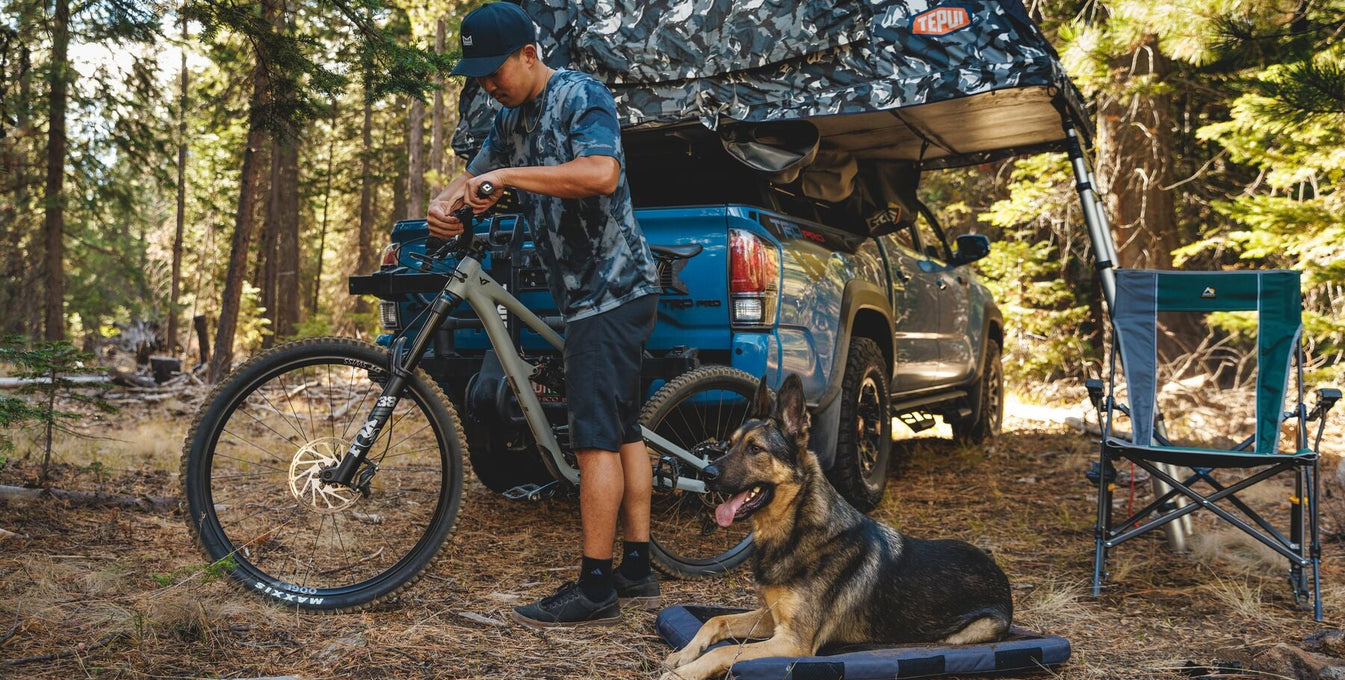 How To Camp With Your Dog