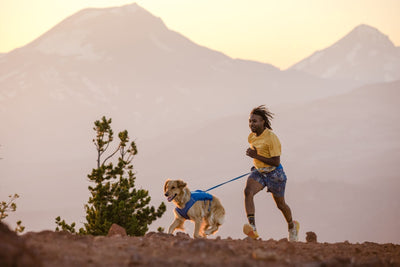 4-Week 5K Training Plan for Running with Your Dog