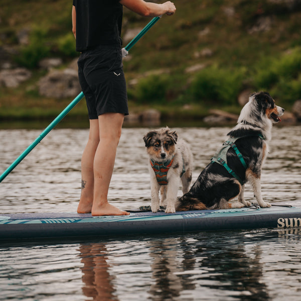 Introducing Our 2025 Ambassadors