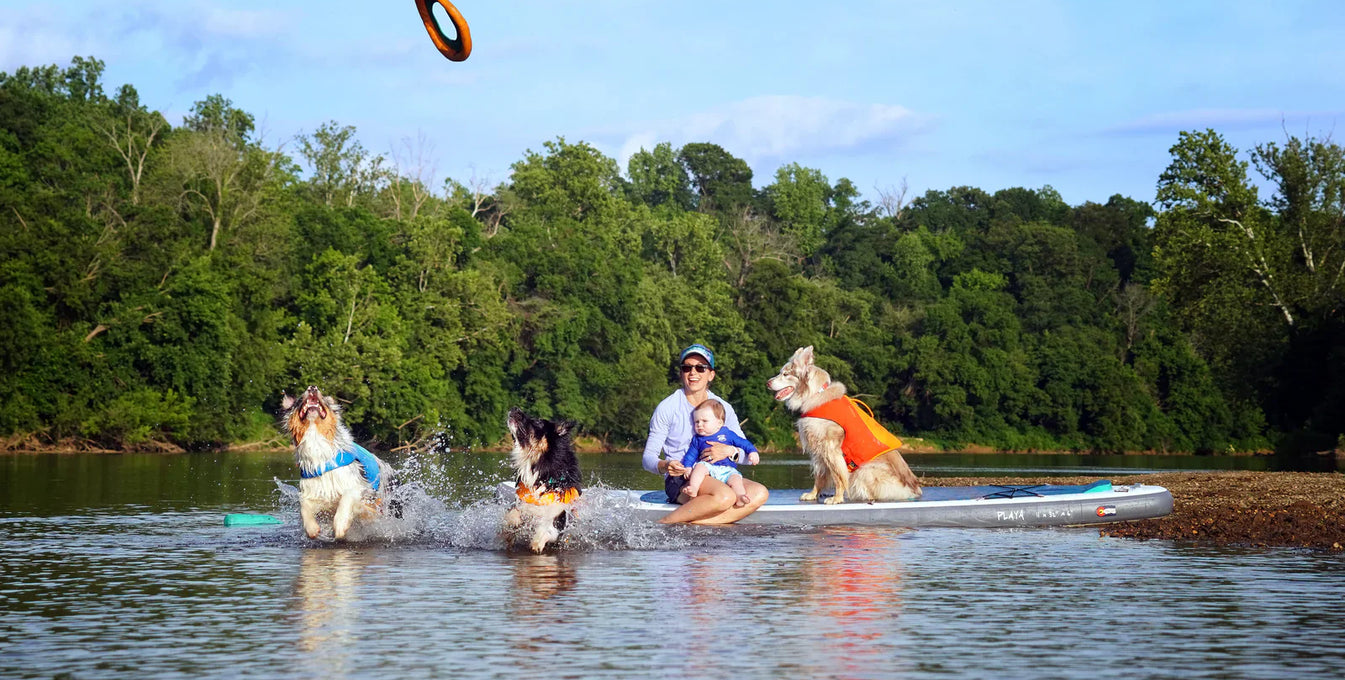 A woman sits on a paddleboard with her baby and throws a toy for her dogs.