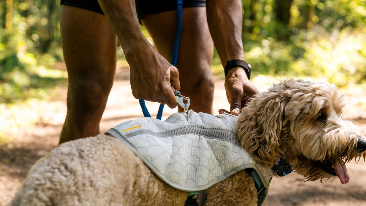 LEASH PORTAL ON BACK
