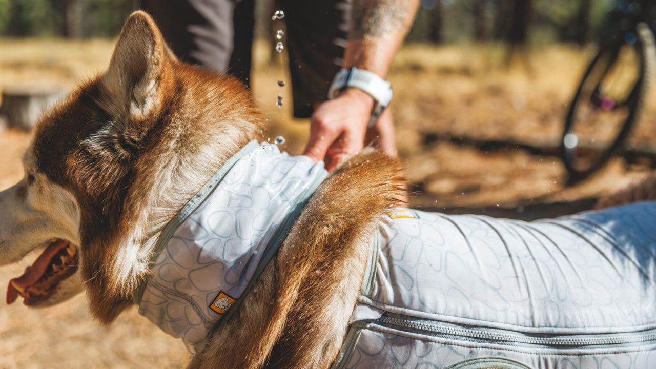 SWAMP COOLER™ TECH