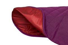 Larkspur Purple