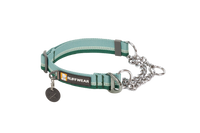 Chain Reaction™ Martingale Dog Collar River Rock Green (355)