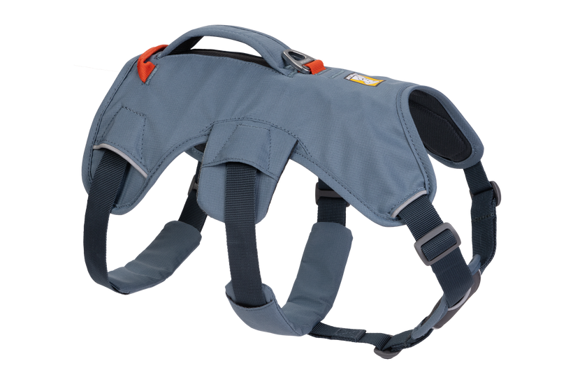 Web Master™ Dog Harness with 
