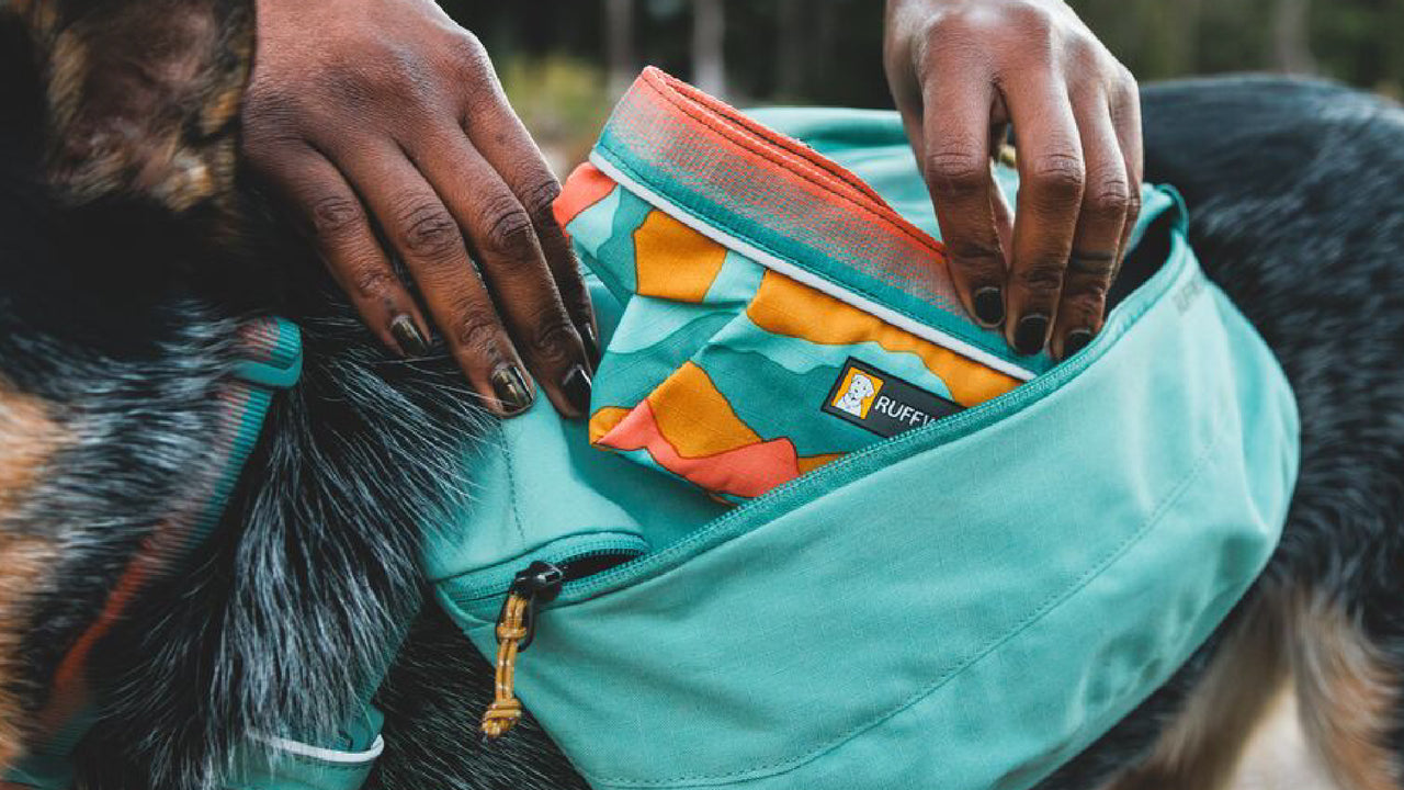 INTERNAL ORGANIZATION