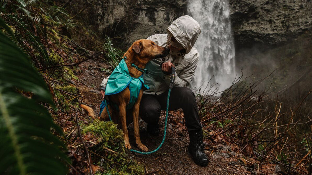 About: The Knot-a-Collar™ Video Thumbnail