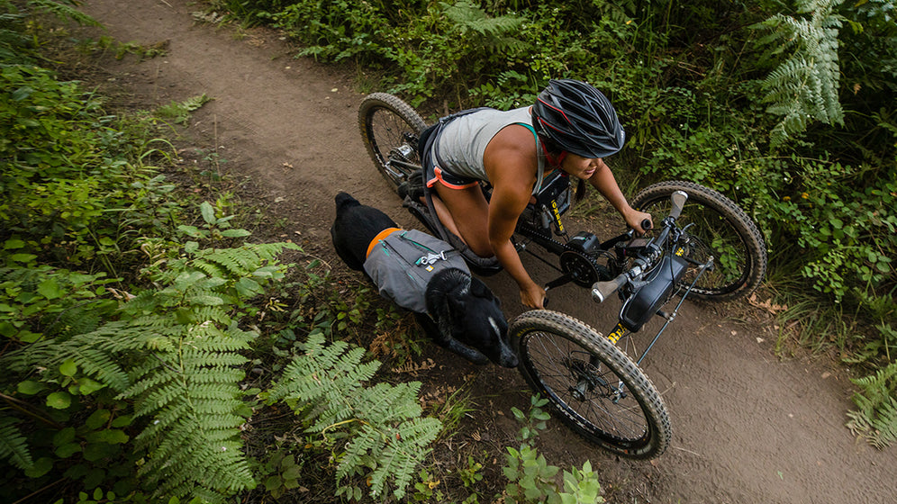 About: The Switchbak™ Harness Video Thumbnail