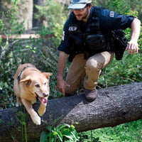 Chester the conservation dog leaps over a log with human handler running along at his side.