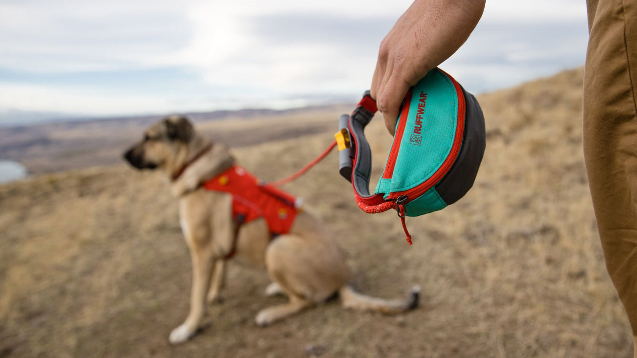 LEASH & HITCH VERSATILITY