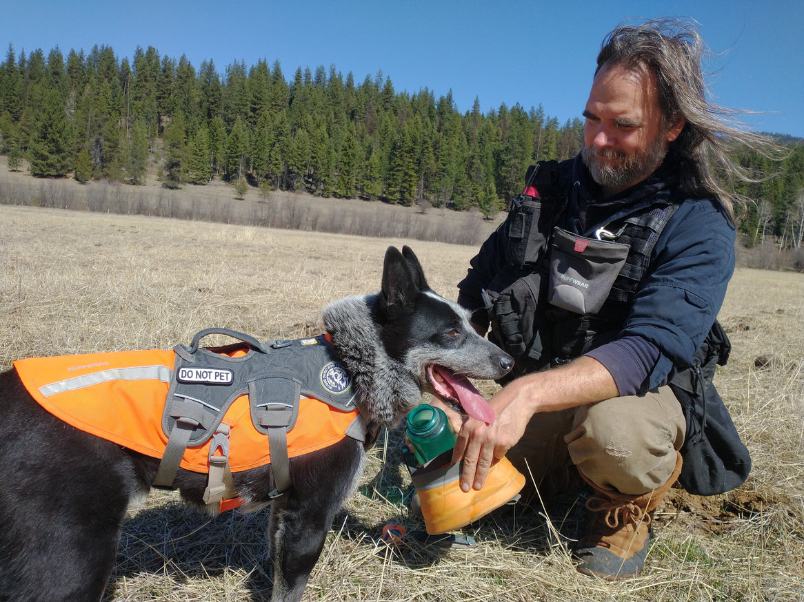 Heath works with a Rogue Detection Dog, taking a water break in an open field