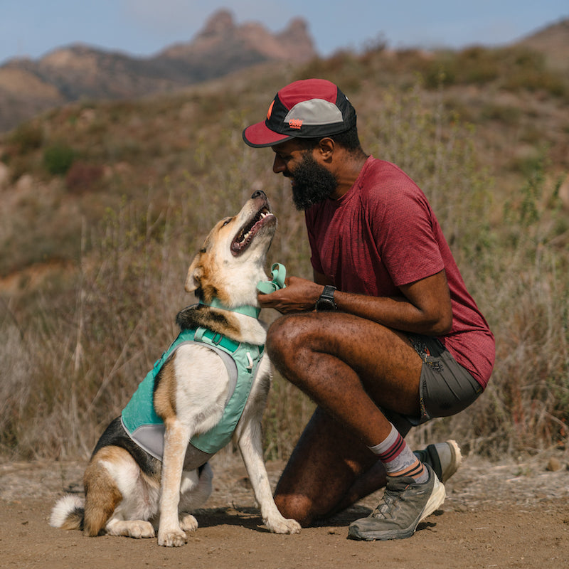 Marcus stops to pet Batman on a trail run.