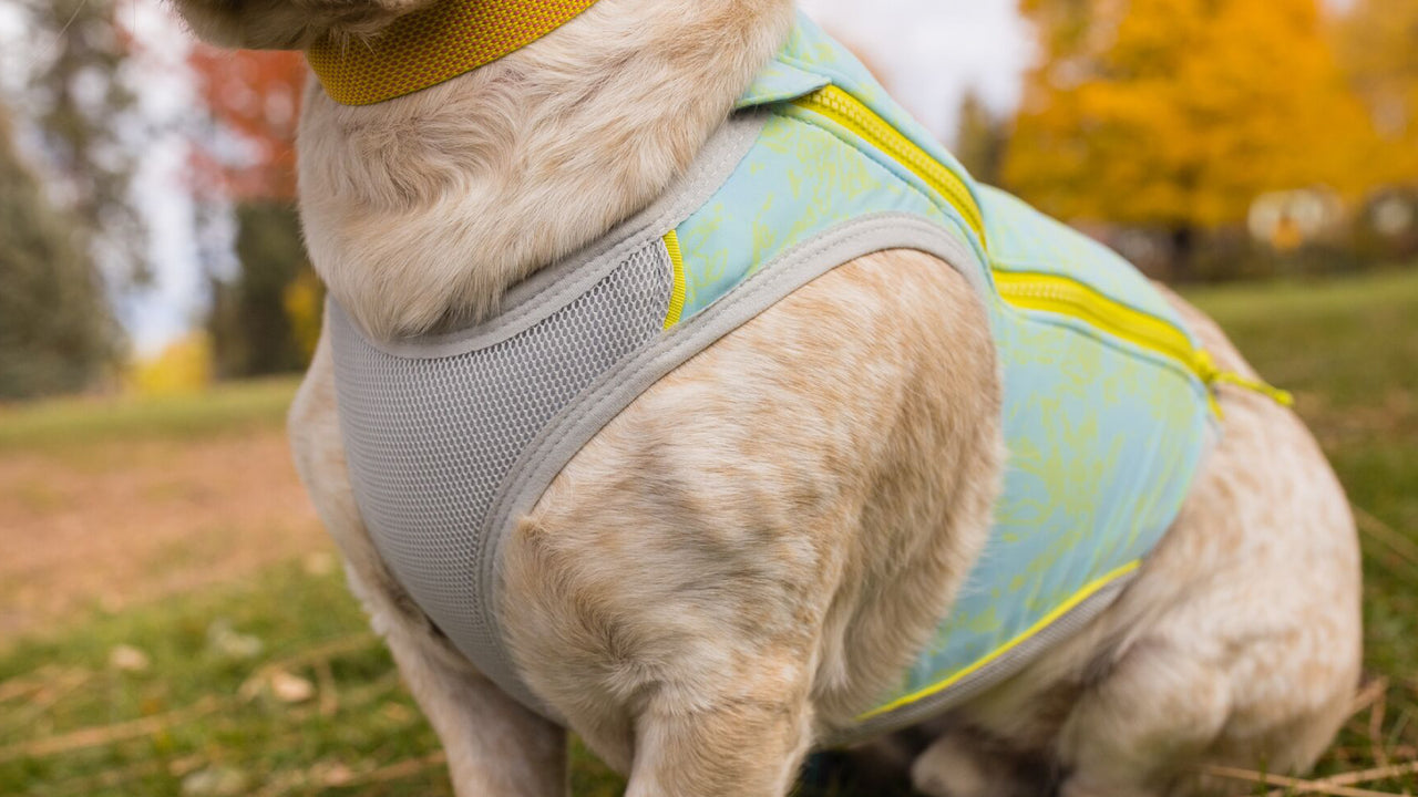 VEST STYLE