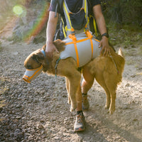 Person carries dog in an emergency sling