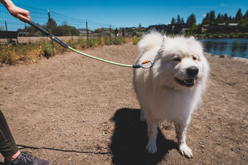 About: The Knot-a-Long™ Leash Video Thumbnail
