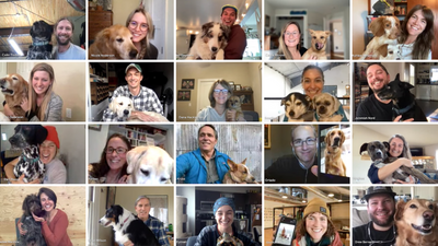 Zoom screenshot of employees and their dogs at ruffwear.