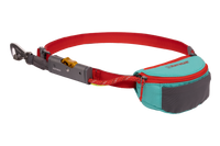 Hitch Hiker™ Leash Aurora Teal (421)