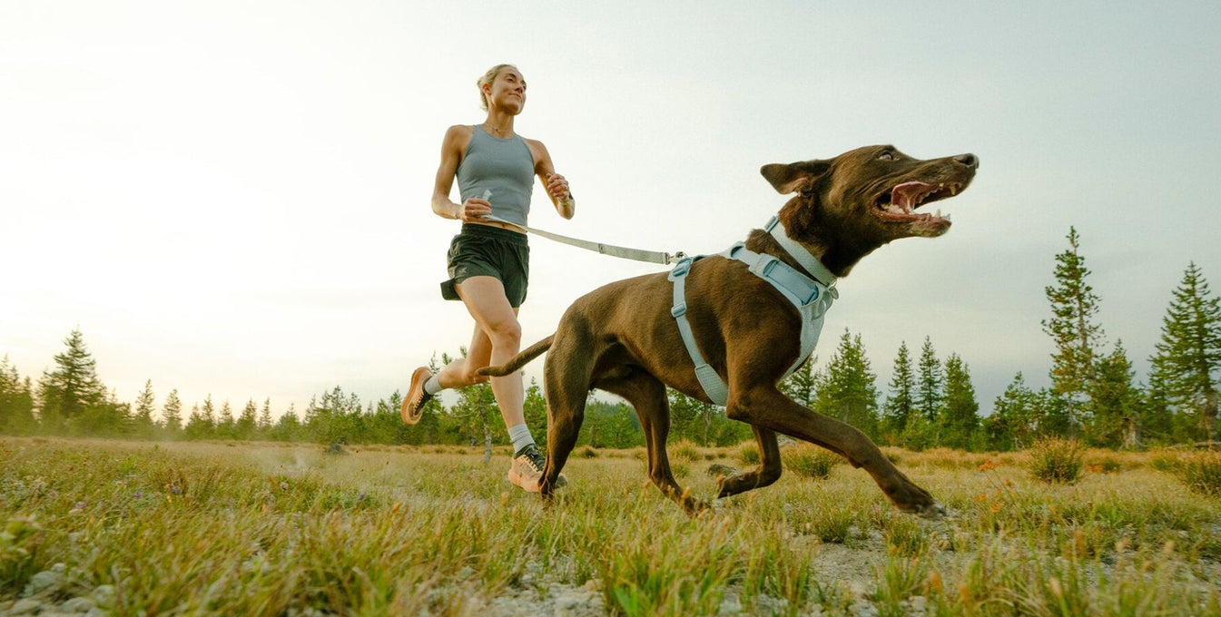 A woman runs with her dog