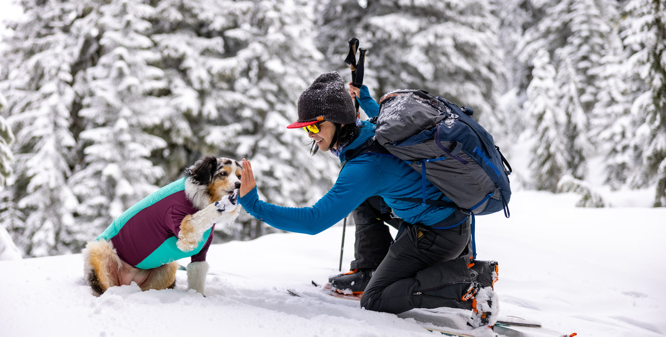 FREE ACCESSORY! HOW TO GET Doggy Backpack - Mining