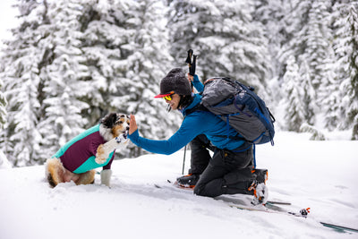 A woman high fives her dog while in the snow. 