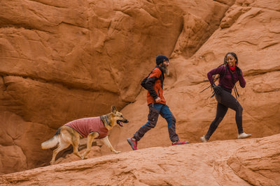 A woman and man run with their dog on a desert trail. 