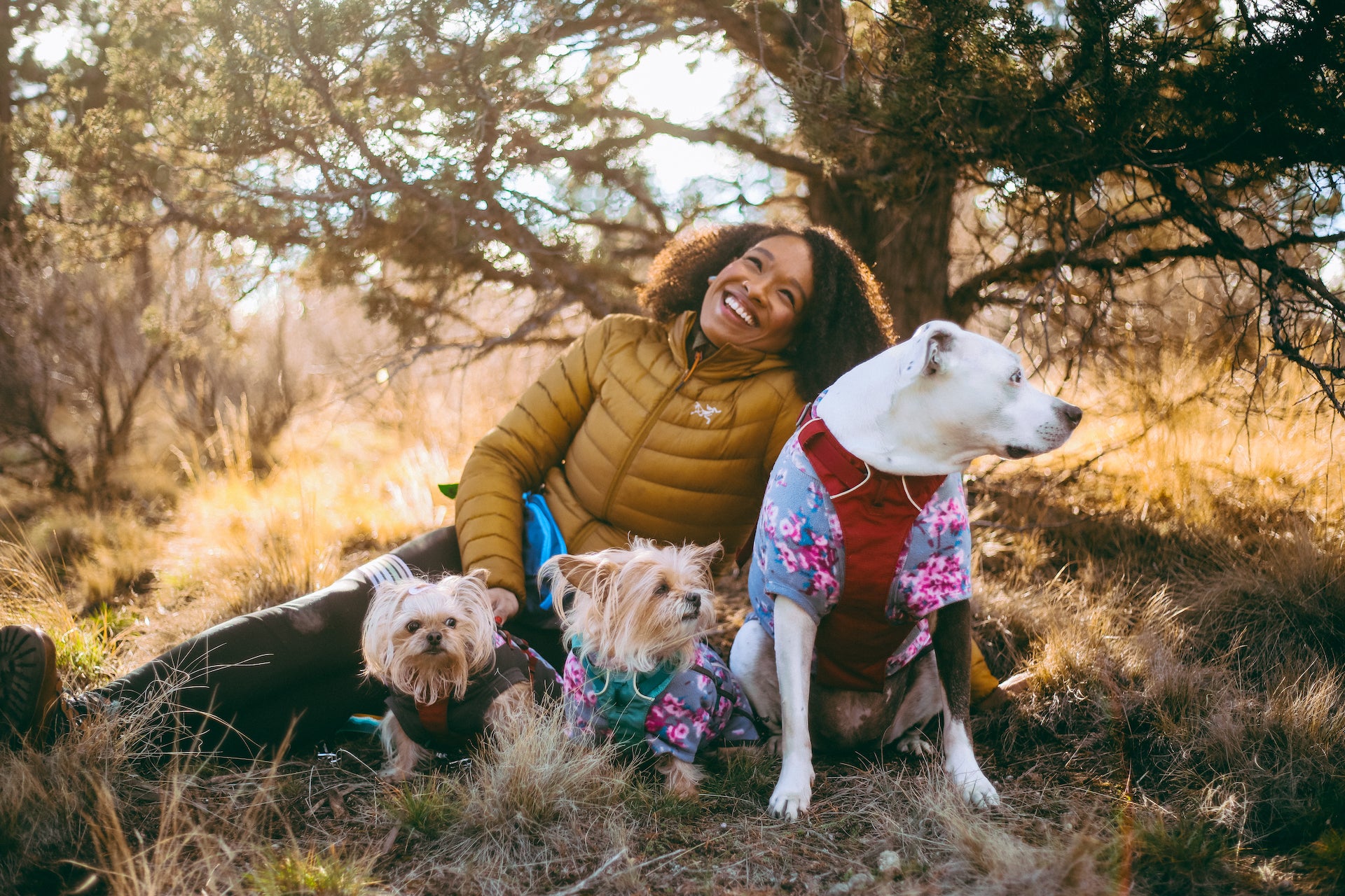 Stories Explored A Ruffwear Blog Ruffwear