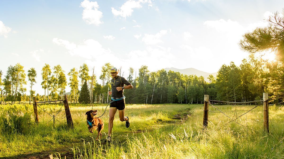 Nico and sol trail run through green grass field at sunset.