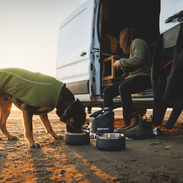 Dog wearing the Climate Changer Fleece Vest while eating.
