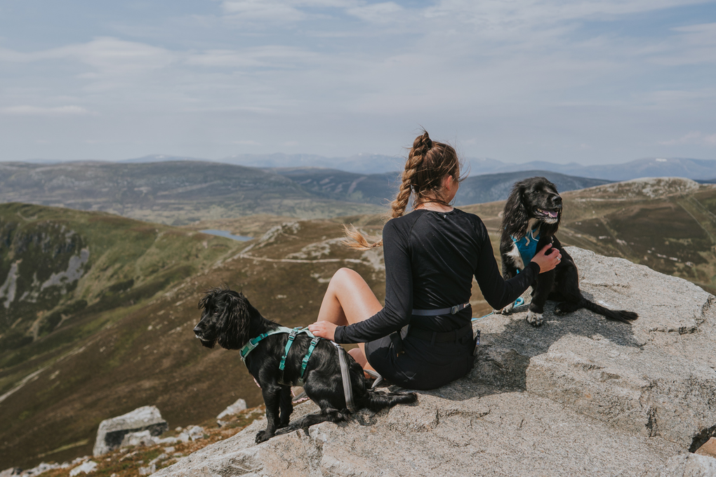Ambassador Siobhan and her dogs, Roshe and Lunar.