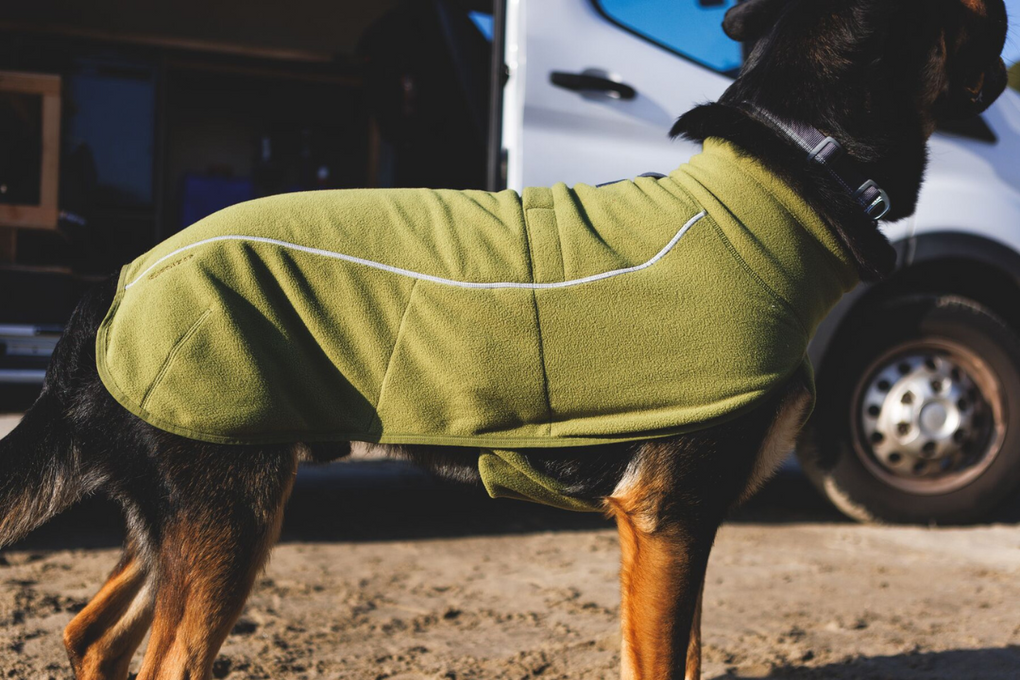 Dog wearing the Climate Changer™ Fleece Vest.