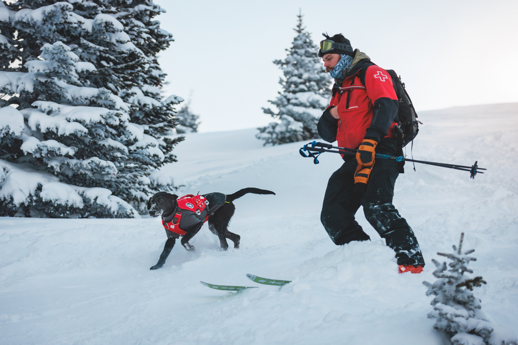 Stories Explored A Ruffwear Blog Ruffwear