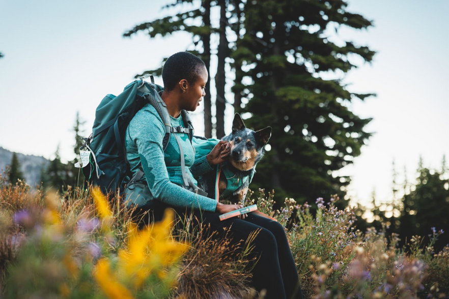 backpack travel with dog Sky Pack Convertible This is especially important for the Large size EveryYay Pet Carrier Travel Backpack