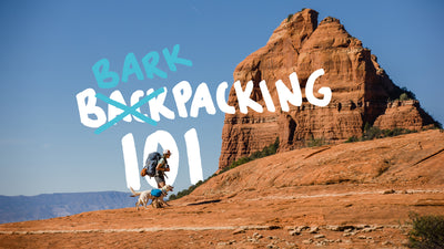 Backpacking 101: How to Backpack with Your Dog