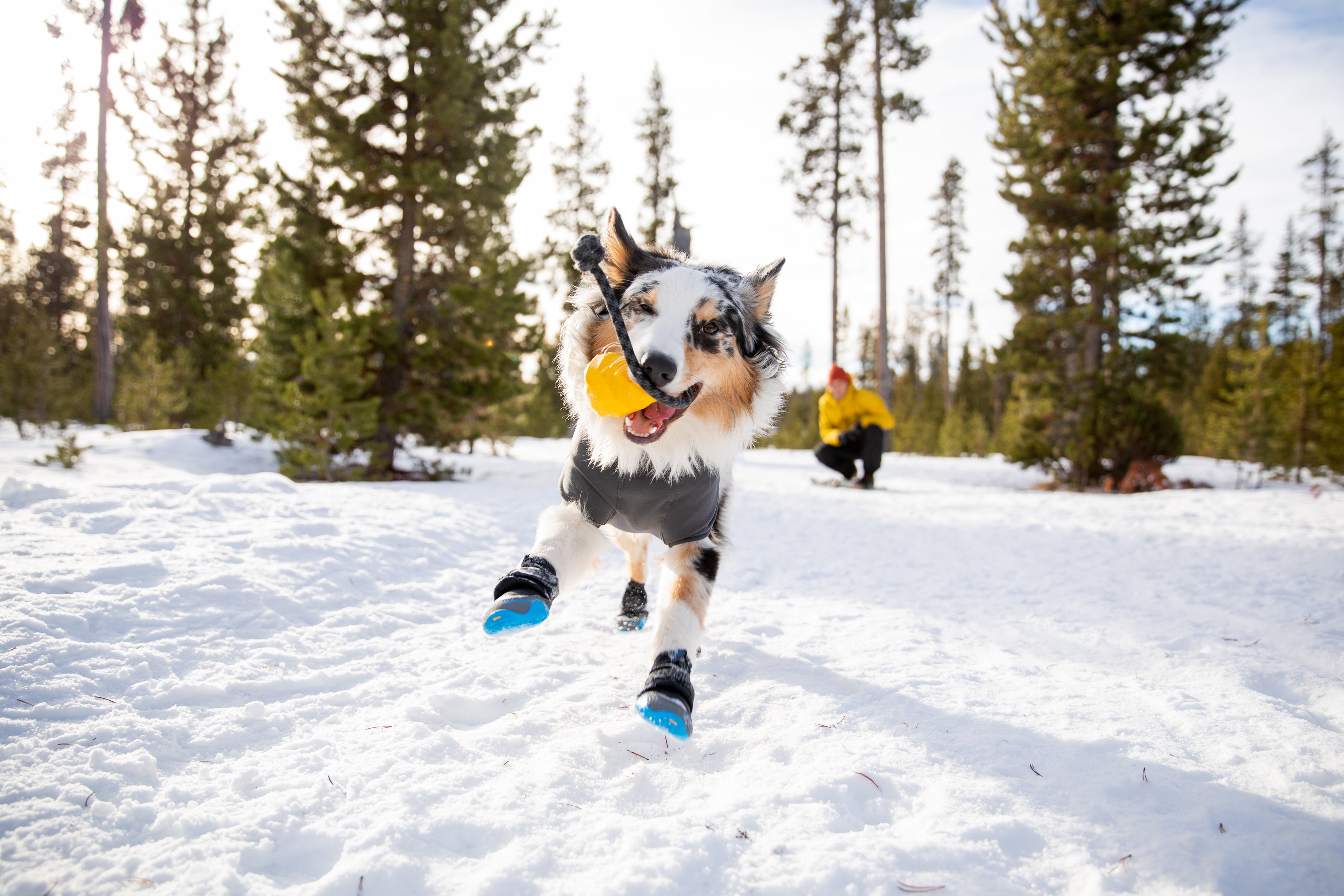 Stories Explored A Ruffwear Blog Ruffwear