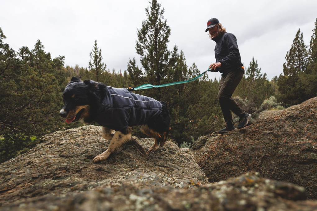 Man hiking with his dog.