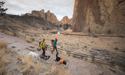 Two woman and three dogs geared up for climbing walk into the canyon at Smith Rocks State Park.