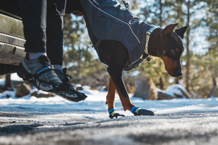 Do Dogs Really Need Boots Ruffwear do-dogs-really-need-boots-ruffwear