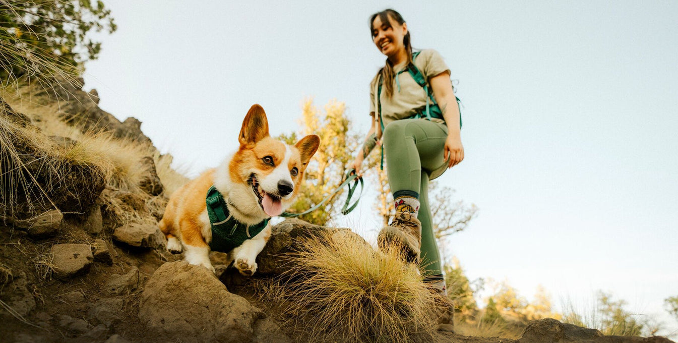 A woman and dog scramble down a path