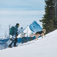 Man and his dog snowboarding.