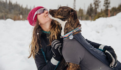 Pup Juniper wearing crag collar gives kisses to Kelly while skijoring.