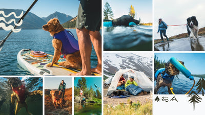 Explore campsites near water from Hipcamp and Ruffwear.