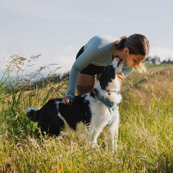 A woman kisses the nose of  dog